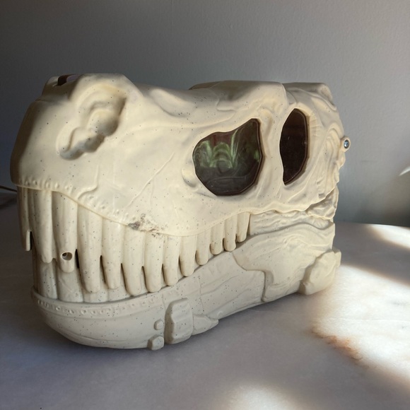 Dinosaur skull storage box - Picture 4 of 12